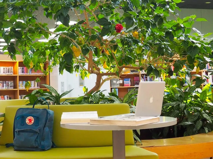 Soraya Koivisto likes to work in the library