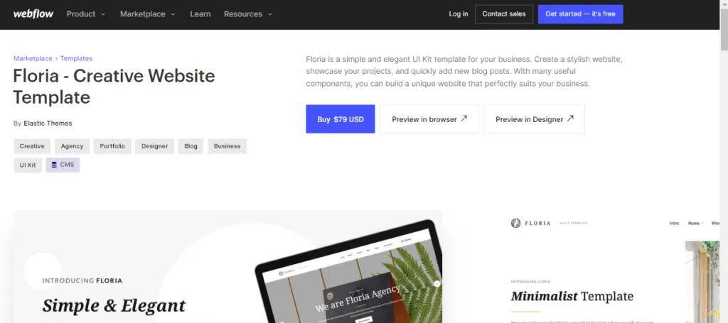 webflow floria website template