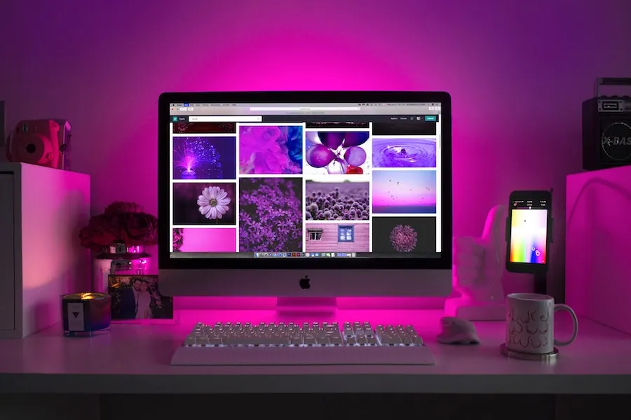 Web Design and Web Development: Profitable skills for remote work (and where to learn them)
