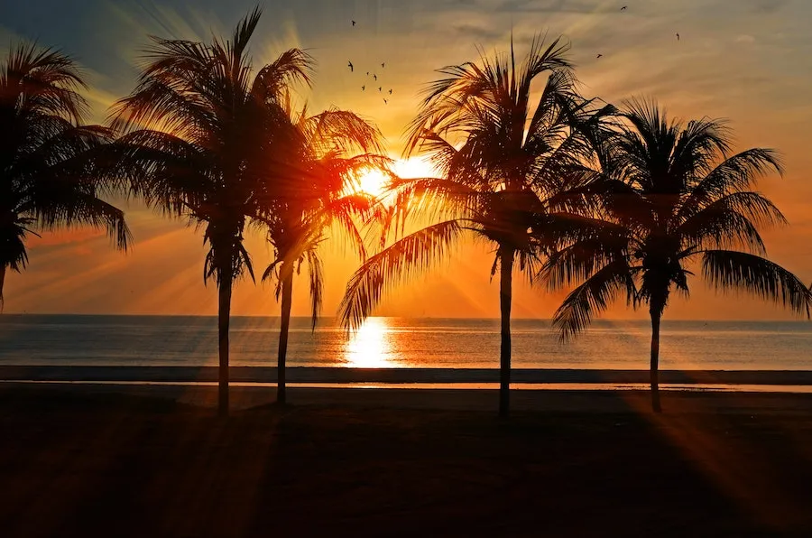 Take your mind off of things after getting robbed abroad